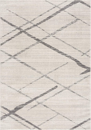 2' x 4' Gray Modern Abstract Pattern Area Rug - Team Spirit Store USA 